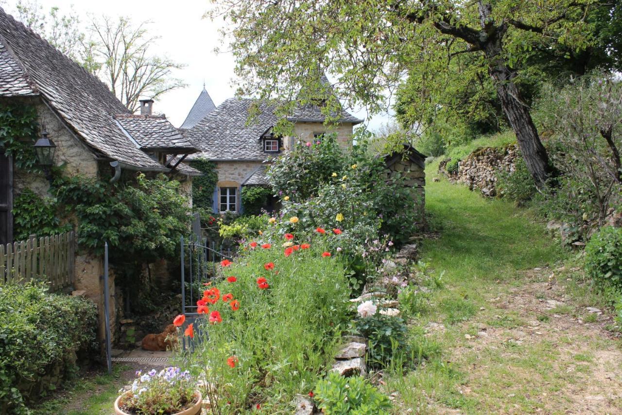 Les Terrasses De Labade Gite Et Chambres D'Hotes Coubisou 外观 照片